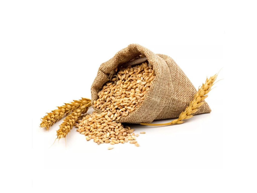 Wheat Feed Grade Wheat Feed Grade